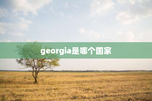 georgia是哪个国家 georgina是哪个国家？