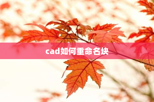 cad如何重命名块 cad中怎样修改块的名称？