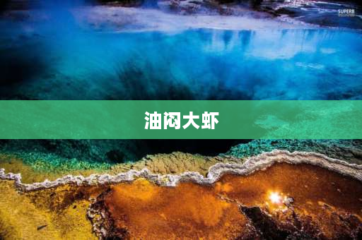 油闷大虾 怎样做油焖大虾？