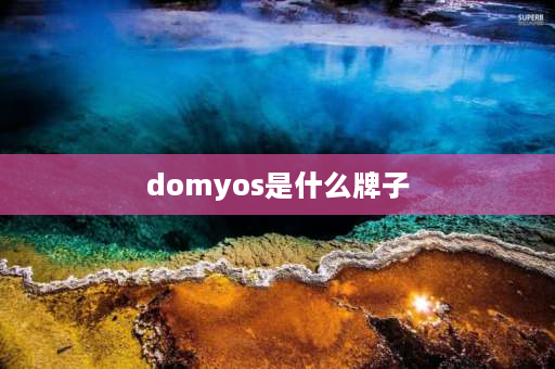 domyos是什么牌子 迪卡侬旗下有什么品牌？