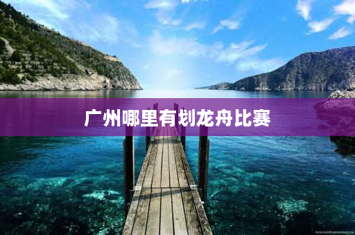 广州哪里有划龙舟比赛 广州天河龙舟比赛时间？