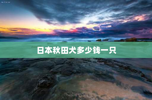 日本秋田犬多少钱一只 秋田犬的优点以及缺点？