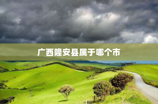 广西隆安县属于哪个市 广西隆安县那重村陆氏祖先起源？