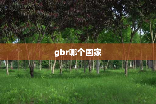 gbr哪个国家 gbr资质是什么意思？