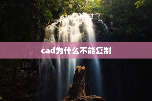 cad为什么不能** CAD为啥无法**？