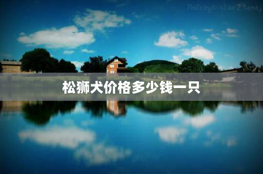 松狮犬价格多少钱一只 广东熊狗（又名土松狮、尖嘴松狮）请问多少钱一只？