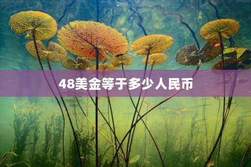 48美金等于多少人民币 1962 年黄金多少钱一克？