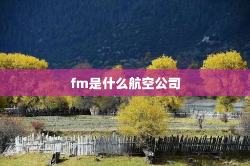 fm是什么航空公司 FM开头的航班都是厦航的吗？