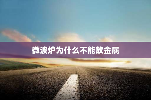 微波炉为什么不能放金属 微波炉内为什么不能放金属物品？