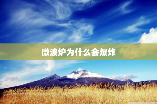 微波炉为什么会爆炸 海带放微波炉为什么会炸？