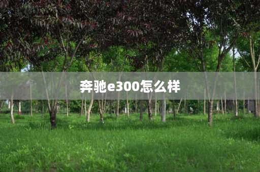 奔驰e300怎么样 奔驰e300值得买吗？