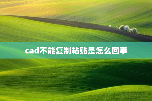 cad不能**粘贴是怎么回事 cad图纸里面的图形怎么**不出来？