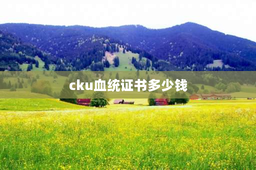 cku血统证书多少钱 CKA血统证书和CKU证书一样吗？