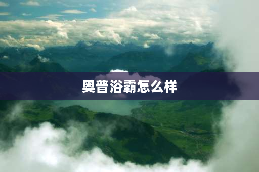 奥普浴霸怎么样 奥普E171浴霸怎么样？