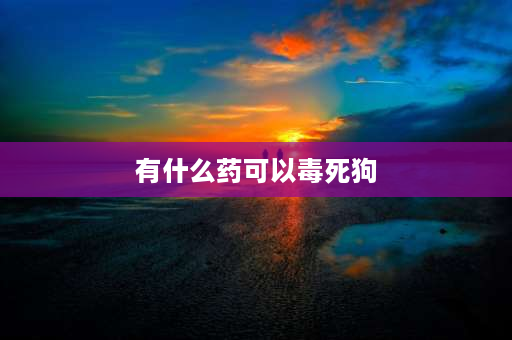 有什么药可以毒死狗 狗狗误食了溴敌隆（毒鼠药）多久会死？