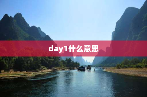 day1什么意思 day中文意思是什么？