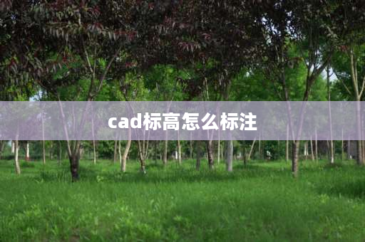 cad标高怎么标注 cad如何批量标注标高？