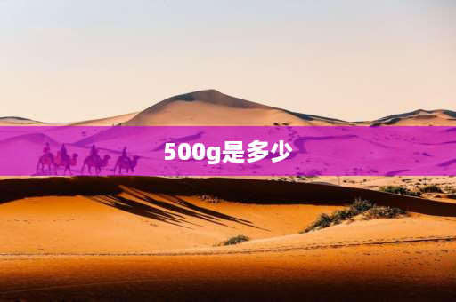 500g是多少 500g是多少？