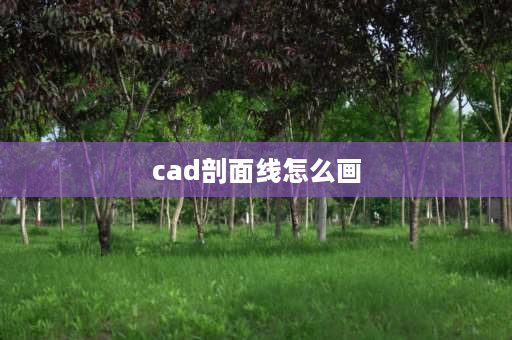 cad剖面线怎么画 cad 中的剖面线如何分解？