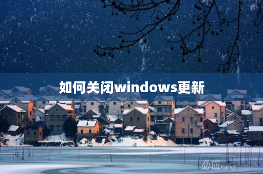 如何关闭windows更新 如何关闭windows更新？