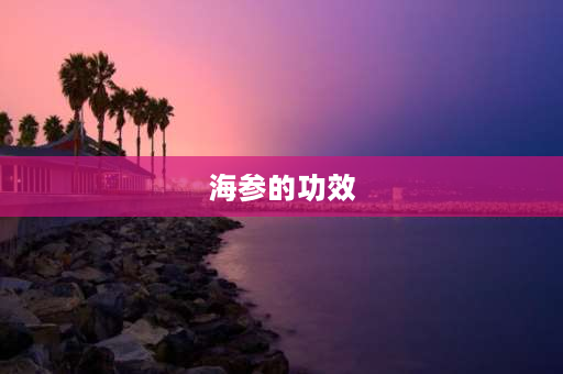 海参的功效 海参益处？