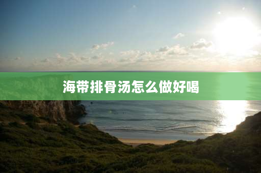 海带排骨汤怎么做好喝 排骨海带汤的家常做法？