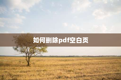 如何删除pdf空白页 怎么删PDF的空白页？