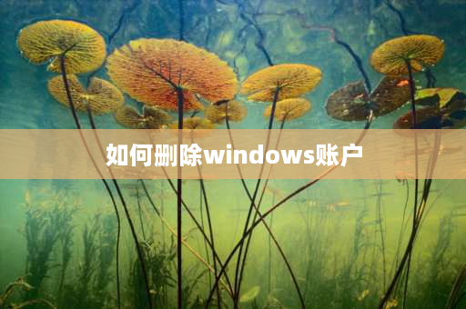 如何删除windows账户 win11两个账号怎样取消其中一个？