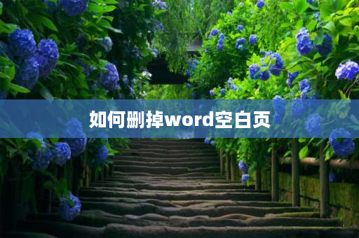 如何删掉word空白页 Word怎么删除前面的空白页？