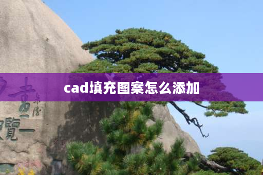 cad填充图案怎么添加 cad如何快速填充图形？