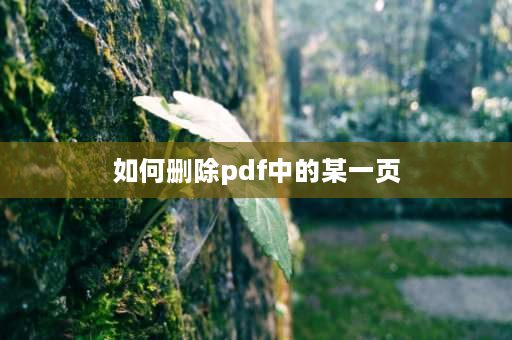 如何删除pdf中的某一页 怎么删除PDF文件中的某页？