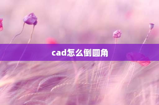 cad怎么倒圆角 cad怎么倒圆角步骤？