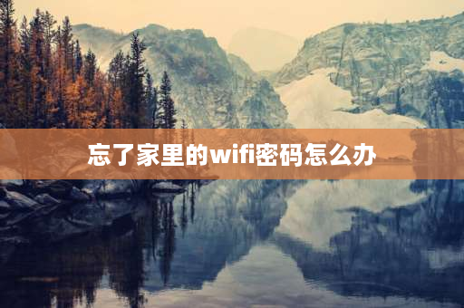 忘了家里的wifi密码怎么办 路由器忘记wifi密码怎么重新设置？