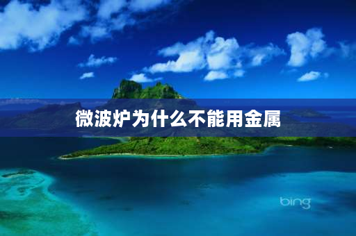 微波炉为什么不能用金属 为什么微波炉内不能用金属呀？