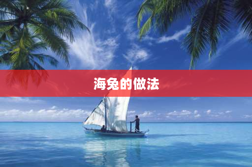 海兔的做法 海兔怎么做？