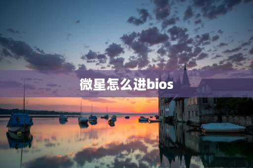 微星怎么进bios 微星怎么进入系统？