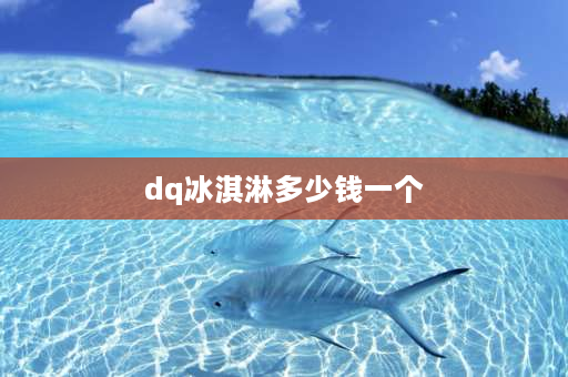 dq冰淇淋多少钱一个 上海DQ冰淇淋的详细价格？