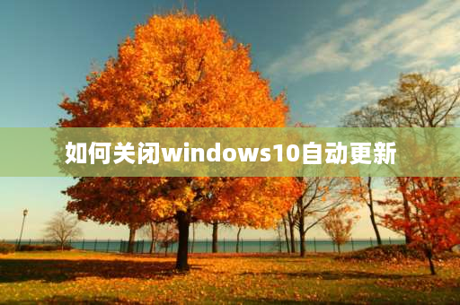 如何关闭windows10自动更新 thinkbook14如何关闭系统更新？