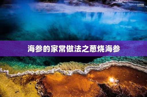 海参的家常做法之葱烧海参 葱烧海参的做法 家常10分钟搞定？