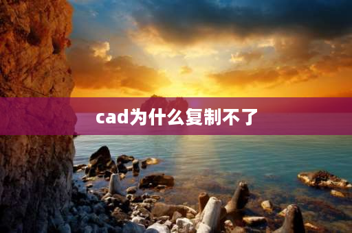 cad为什么**不了 2021cad**不了是什么原因？