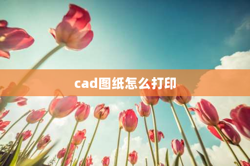 cad图纸怎么打印 cad免费打印怎么操作？