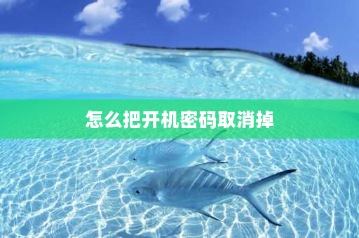 怎么把开机密码取消掉 怎样从BIOS取消和设置开机密码？