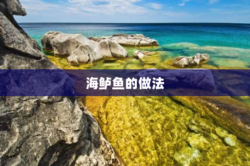 海鲈鱼的做法 家常 海鲈鱼正宗做法？