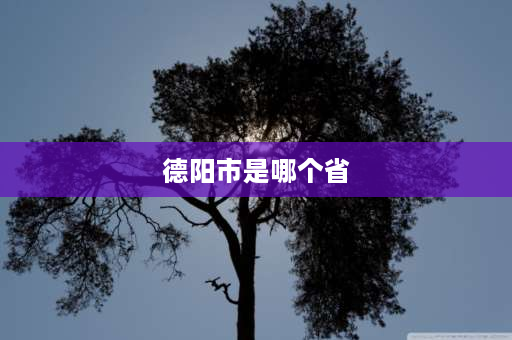 德阳市是哪个省 2022年四川省春节期间气温如何？