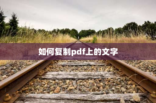 如何**pdf上的文字 如何**书签文字？