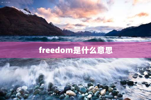 freedom是什么意思 Freedom意思？