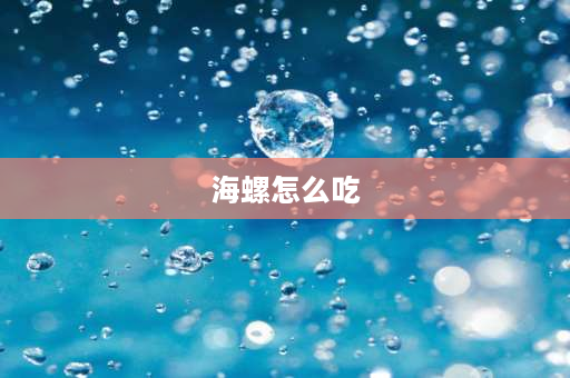 海螺怎么吃 海螺怎么吃？