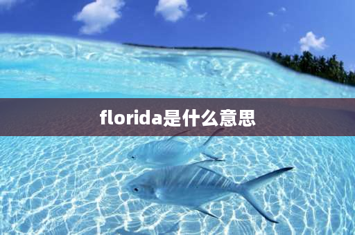 florida是什么意思 fcig是哪个国家的缩写？