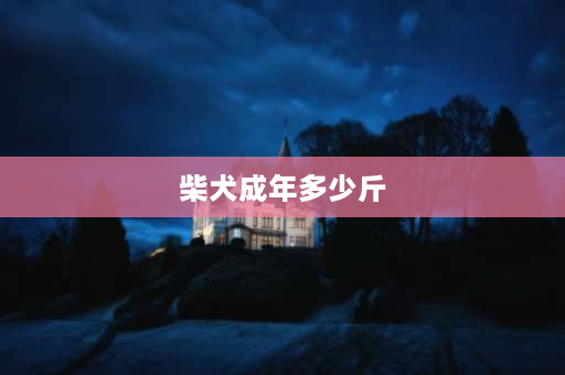 柴犬成年多少斤 成年公柴多少斤是正常？