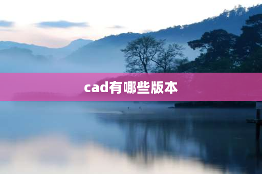 cad有哪些版本 CAD有多少种版本？